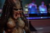The Predator picture