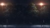 Fate/Stay Night: Heaven's Feel - II. Lost Butterfly picture