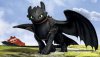 How to Train Your Dragon: The Hidden World picture