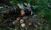 Baba Yaga: Terror of the Dark Fores picture