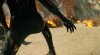 Black Panther: Wakanda Forever picture