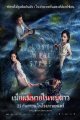 เมียผมหายในหมู่ดาว