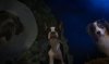 Strays picture