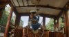Paddington in Peru picture