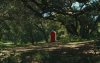 A Big Bold Beautiful Journey picture