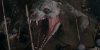 Creation of the Gods II: Demon Force picture