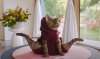 Gabby's Dollhouse: The Movie picture