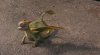 How to Train Your Dragon picture