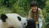 Moon The Panda picture