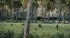 Primitive War picture