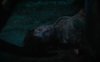 Until Dawn picture