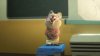 Zootopia 2 picture