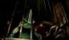 Return to Silent Hill picture