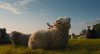 The Sheep Detectives picture