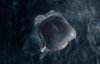 Whalefall picture