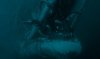 Whalefall picture