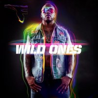 Wild Ones