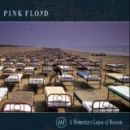 อัลบัม A Momentary Lapse of Reason