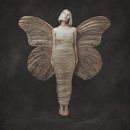 อัลบัม All My Demons Greeting Me as a Friend