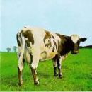 อัลบัม Atom Heart Mother