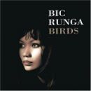 อัลบัม Birds