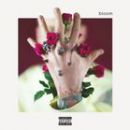 อัลบัม Bloom