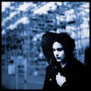 อัลบัม Blunderbuss