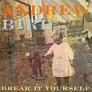 อัลบัม Break It Yourself