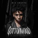 อัลบัม Cottonwood