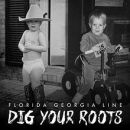 อัลบัม Dig Your Roots