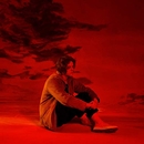 อัลบัม Divinely Uninspired to a Hellish Extent