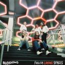 อัลบัม Foolish Loving Spaces