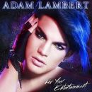 อัลบัม For Your Entertainment