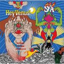 อัลบัม Hey Venus!