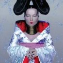 อัลบัม Homogenic