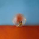 อัลบัม In the Meantime