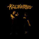 อัลบัม Kalin And Myles