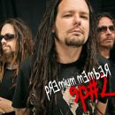 อัลบัม Korn Digital EP 2