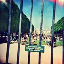 อัลบัม Lonerism