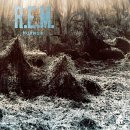 อัลบัม Murmur