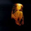 อัลบัม Nothing Safe: Best of the Box