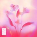 อัลบัม Oh to be in Love