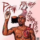 อัลบัม Pain Paints Paintings
