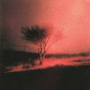 อัลบัม Piss In The Wind