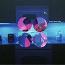 อัลบัม Purple Naked Ladies