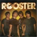 อัลบัม Rooster