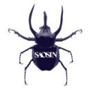 อัลบัม Saosin