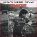 อัลบัม Scarecrow