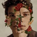 อัลบัม Shawn Mendes