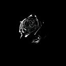 อัลบัม Shoot for the Stars Aim for the Moon